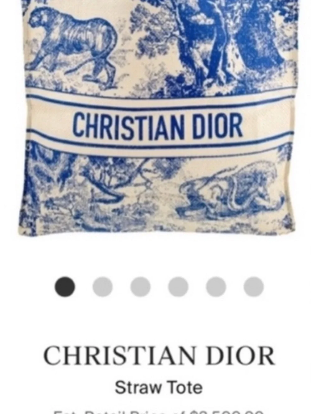 Dior Blue and Cream Toile Canvas Tote - Picture 7 of 7